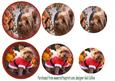 Chrismas Dog