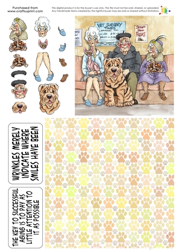 The Wrinklies Decoupage - Lookalikes