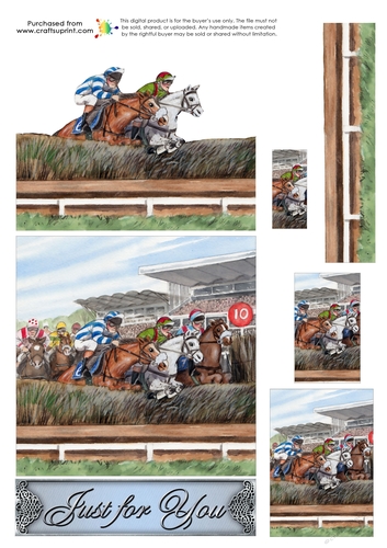 Trinitage - Steeplechase