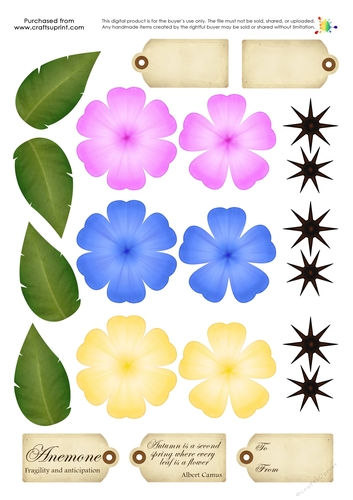 Build a Blossom - Anenome