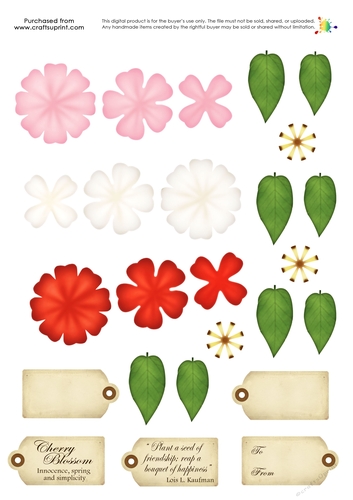 Build a Blossom - Cherry Blossom