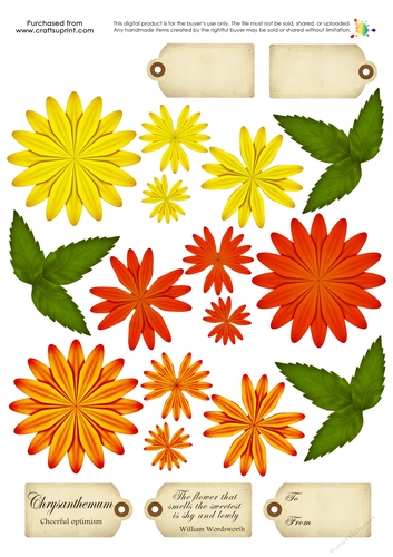 Build a Blossom - Chrysanthemum