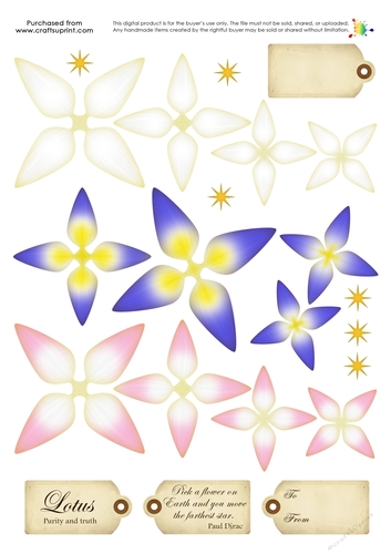 Build a Blossom - Lotus