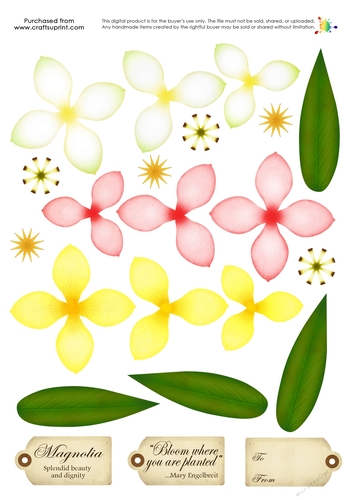 Build a Blossom - Magnolia