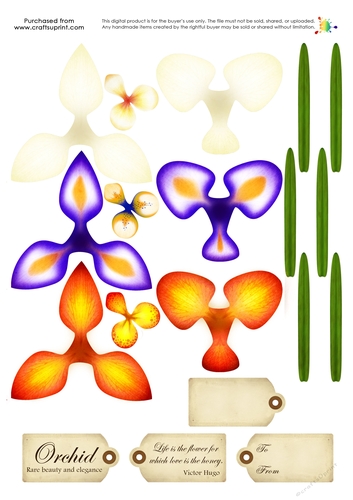 Build a Blossom - Orchid
