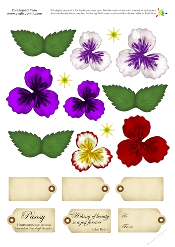 Build a Blossom - Pansy
