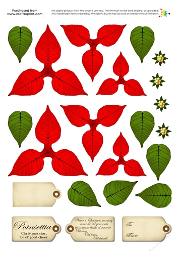 Build a Blossom - Poinsettia