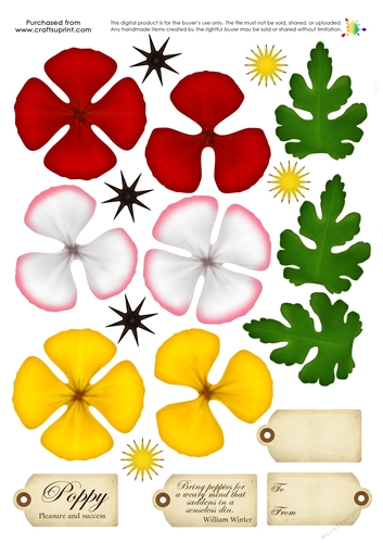 Build a Blossom - Poppy