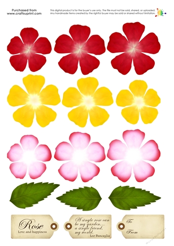 Build a Blossom - Rose