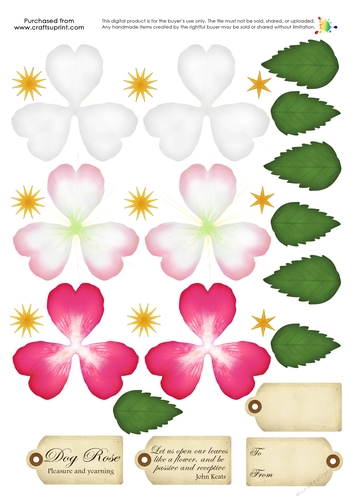 Build a Blossom - Wild Rose