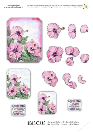 Labelled with Love - Hibiscus