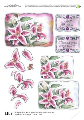 Labelled with Love - Lily