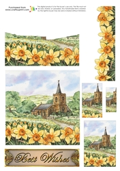 Trinitage - Daffodil Hill