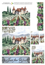 Trinitage - The Vineyard