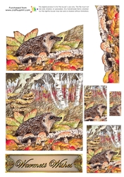 Trinitage - Hedgehog