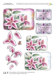 Labelled with Love - Lily