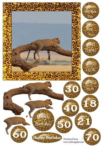 Leopard on branch in matching frame - various greetings & ages