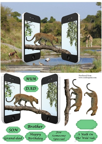 Dual Phones Leopard