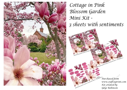 Pink Blossoms Tunnel Card Mini Kit