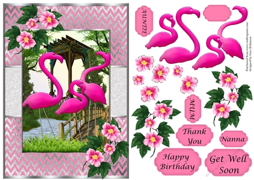 Flamingos (3) in Frame with flowers - various sentiments