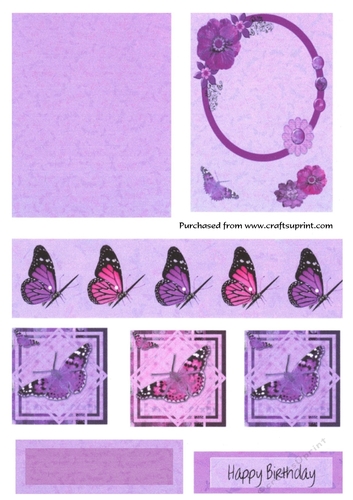 Purple and Pink butterflies