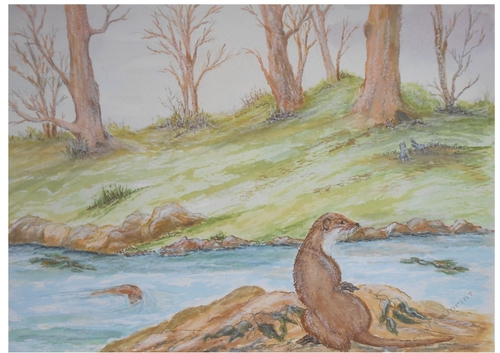 Otter by riverbank