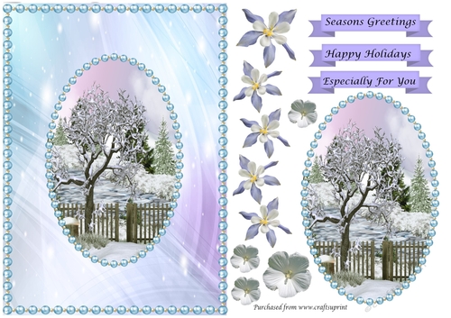 Winter scene in pearl frame with flowers