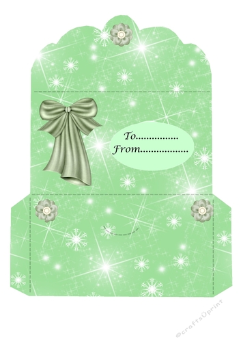 Green snowflake money wallet with bow