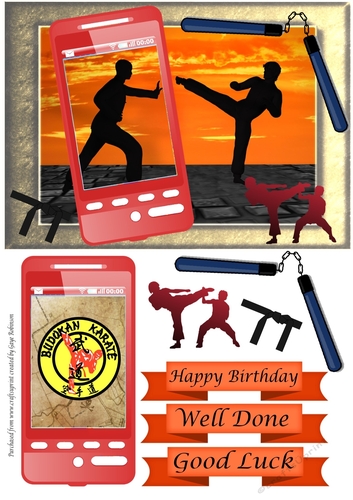 Martial Arts Phone