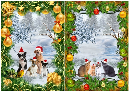 Dogs & Cats in Santa Hats in Xmas Frame, Toppers x 2
