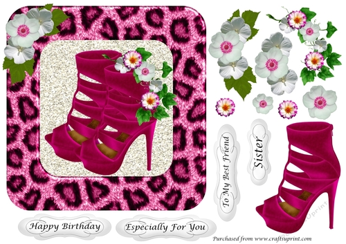 Pink ankle boots in fur leopard print frame