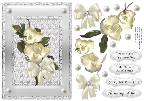 Sympathy Magnolia in silver frame