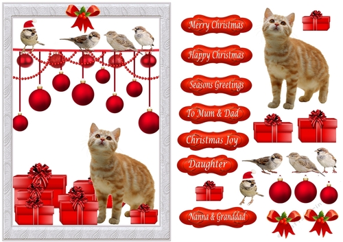 Birds and Cat at Christmas - various greetings