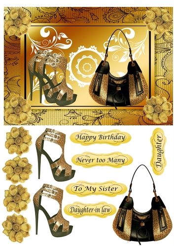 Leopard Print Shoes & Bag on lace frame