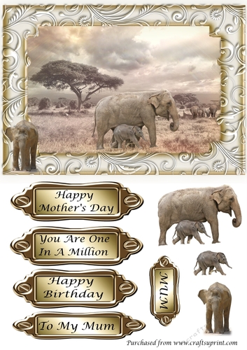 Mum and Baby Elephant, Mothers Day or Birthday