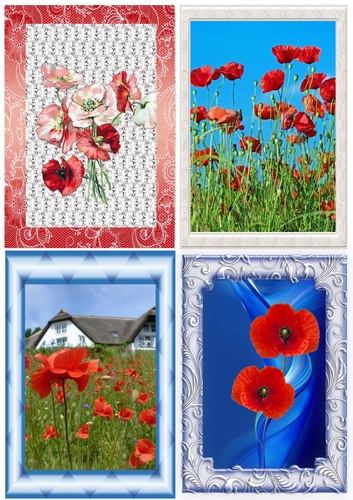 Poppy Toppers A6