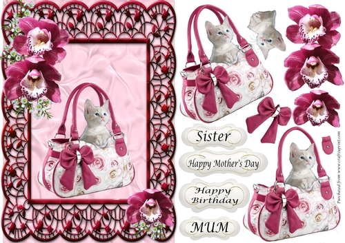 Kitten in handbag - Birthday or Mothers Day