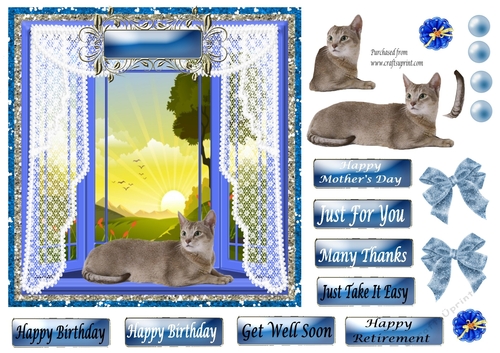 Grey short haired cat laying in Blue Bay Window - Various greetings