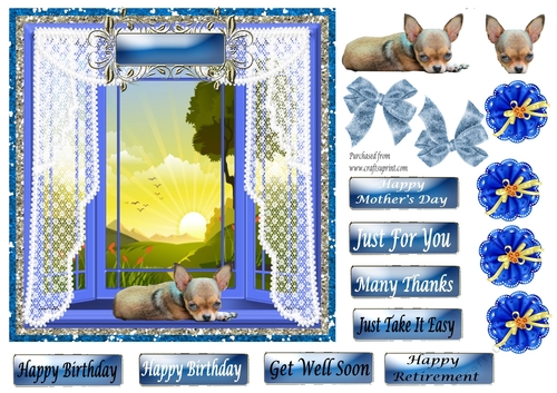 Chihauhua laying in Blue Bay Window - Various greetings