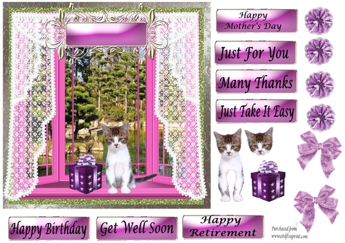 Grey&White Kitten with present in Pink Bay Window - various greetings