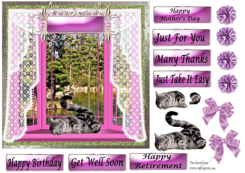 Grey&Black cat rolling on back in Pink Bay Window - various greetings
