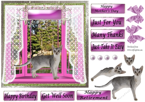 Sleek Grey Cat standing in Pink Bay Window - various greetings