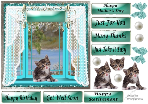 Cute Kitten sitting in Pale Blue Bay Window - Various Greetings