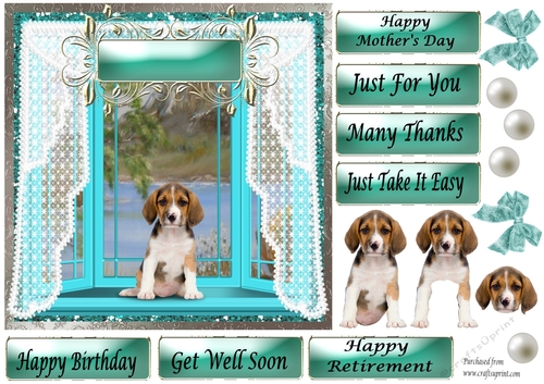 Cute Puppy sitting in Pale Blue Bay Window - Various Greetings