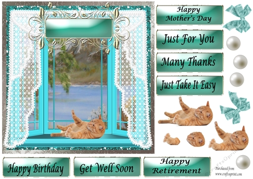 Ginger Cat laying in Pale Blue Bay Window - Various Greetings