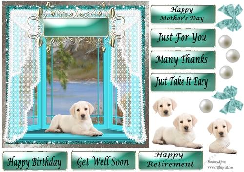 White Labrador puppy in Pale Blue Bay Window - Various Greetings