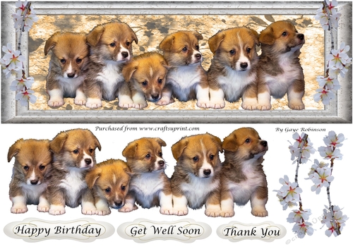 Puppies in a row - large DL Card - Birthday, Get Well Soon, Thank You