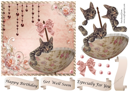 Cat in Parasol square card