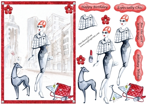 Chic Lady 4 with dog and accessories 