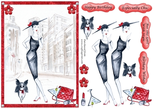 Chic Lady 5 with dog and accessories 